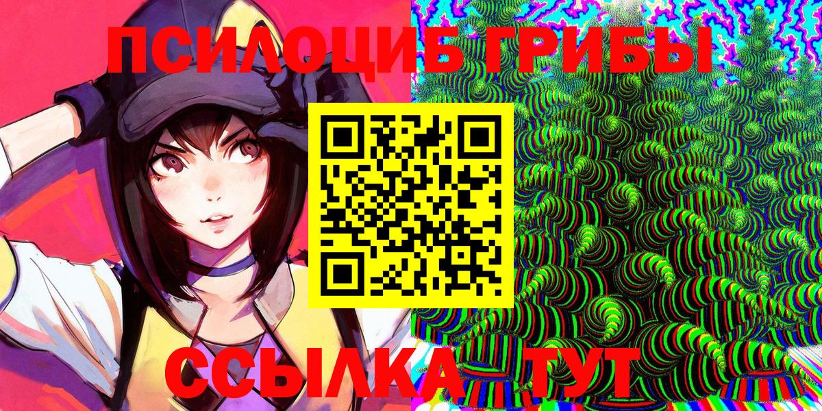 Псилоцибиновые грибы мицелий  Вход с VPN  Псилоцибиновые грибы GOLDEN TEACHER  Кузнецк 