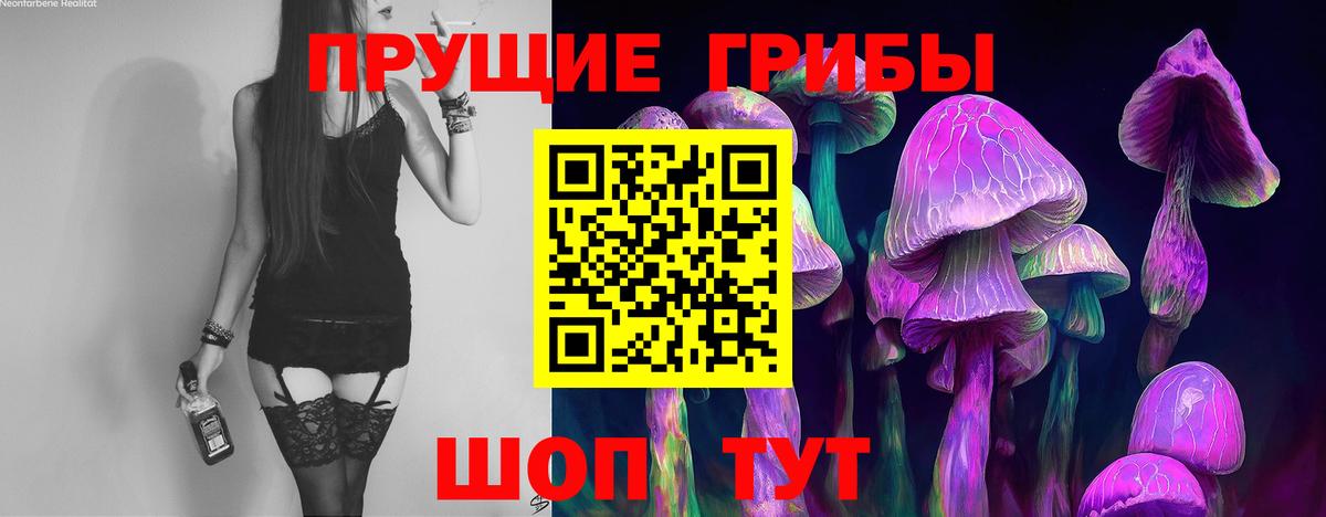 Галлюциногенные грибы Magic Shrooms Кузнецк